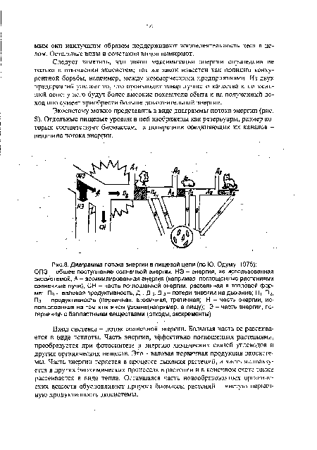 Диаграмма потока энергии в пищевой цепи (по Ю. Одуму, 1975)