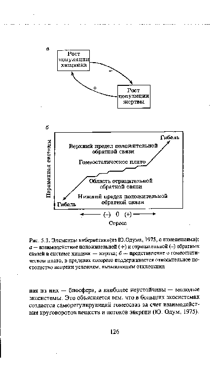 Элементы кибернетики(из Ю.Одума, 1975, с изменениями)
