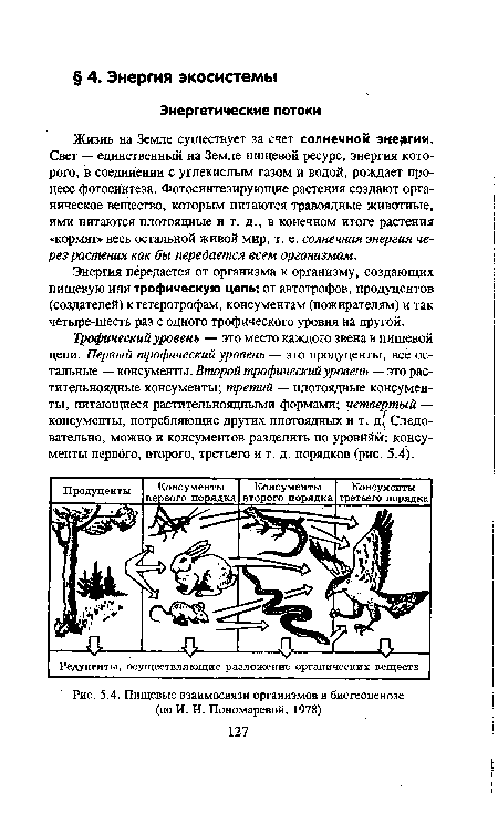 Пищевые взаимосвязи организмов в биогеоценозе (по И. Н. Пономаревой, 1978)