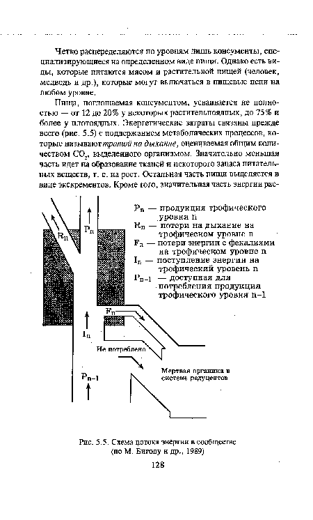 Схема потока энергии в сообществе (по М. Бигону и др., 1989)