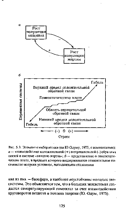 Элементы кибернетики (по Ю.Одуму, 1975, с изменениями)