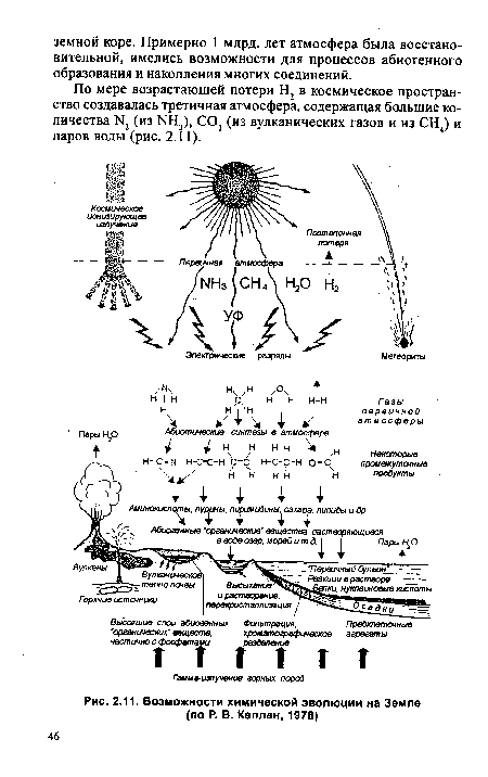Возможности химической эволюции на Земле (по Р. В. Каплан, 1978)