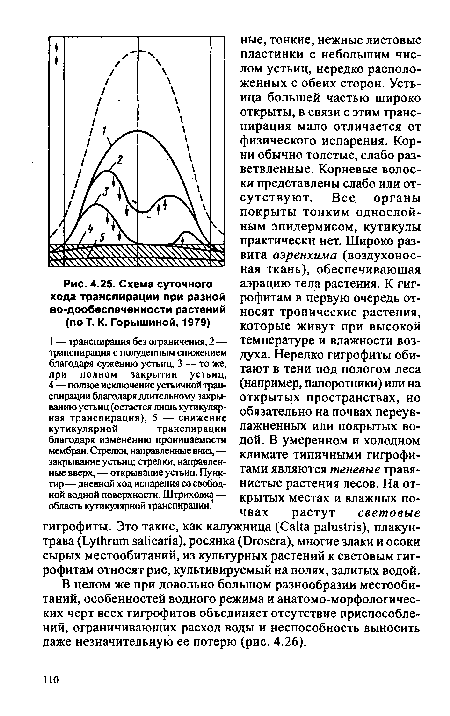 Схема суточного хода транспирации при разной во-дообеспеченности растений (по Т. К. Горышиной, 1979)