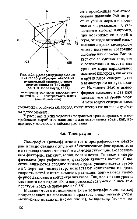 Деформирующее влияние господствующих ветров на радиальный прирост ствола лиственницы на Таймыре (по Н. В. Ловелиусу, 1973)