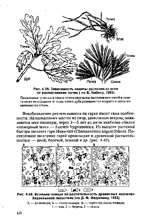 Влияние пожара на растительность древесных «колков» Зауральской лесостепи (по Д. Ф. Федюнину, 1953)