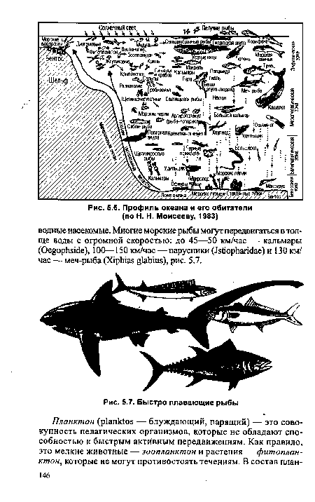 Профиль океана и его обитатели (по Н. Н. Моисееву, 1983)