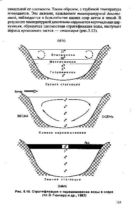 Стратификация и перемешивание воды в озере (по Э. Гюнтеру и др., 1982)