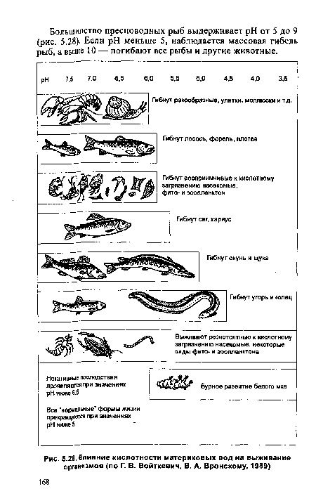 Влияние кислотности материковых вод на выживание организмов (по Г. В. Войткевич, В. А. Вронскому, 1989)