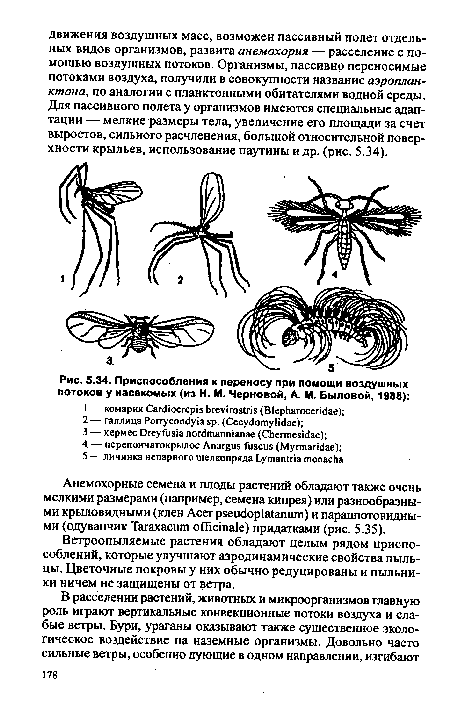 Приспособления к переносу при помощи воздушных потоков у насекомых (из H. М. Черновой, А. М. Быловой, 1988)