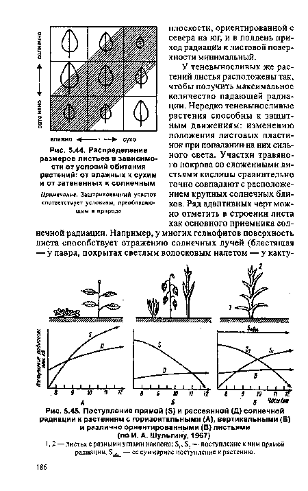 Поступление прямой (в) и рассеянной (Д) солнечной радиации к растениям с горизонтальными (А), вертикальными (Б) и различно ориентированными (В) листьями (по И. А. Шульгину, 1967)