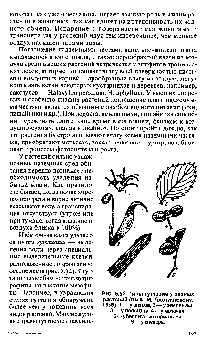 Типы гуттации у разных растений (по А. М. Гродзинскому, 1965)
