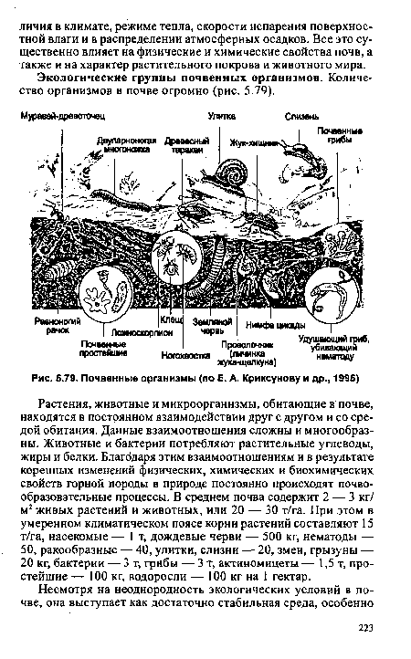 Почвенные организмы (по Е. А. Криксунову и др., 1995)