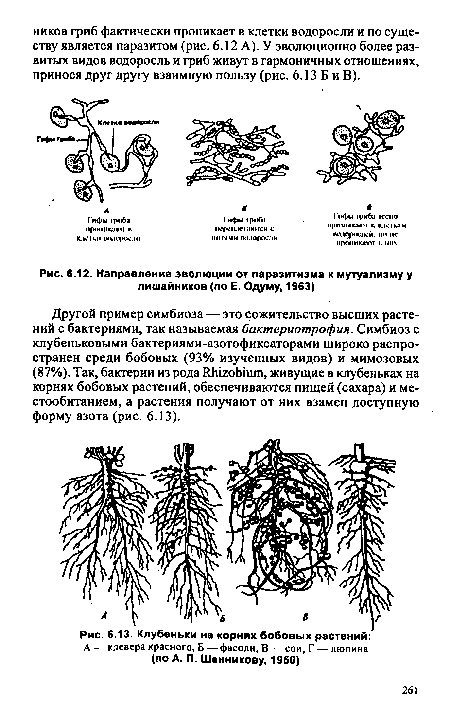 Направление эволюции от паразитизма к мутуализму у лишайников (по Е. Одуму, 1963)