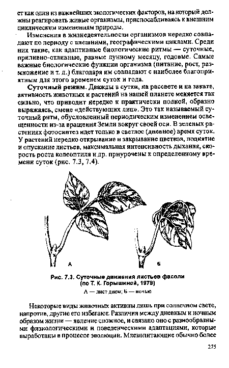Суточные движения листьев фасоли (по Т. К. Горышиной, 1979)