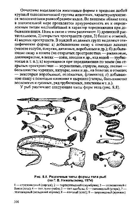 Различные типы формы тела рыб (по Г. В. Никольскому, 1974)