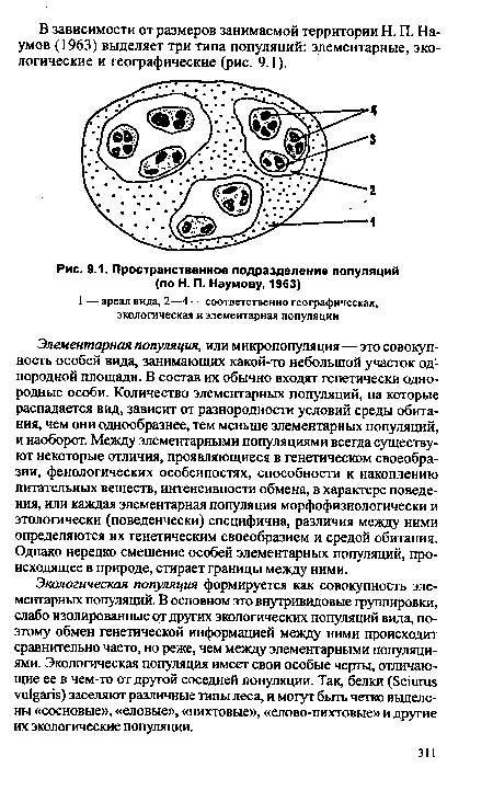 Пространственное подразделение популяций (по Н. П. Наумову, 1963)