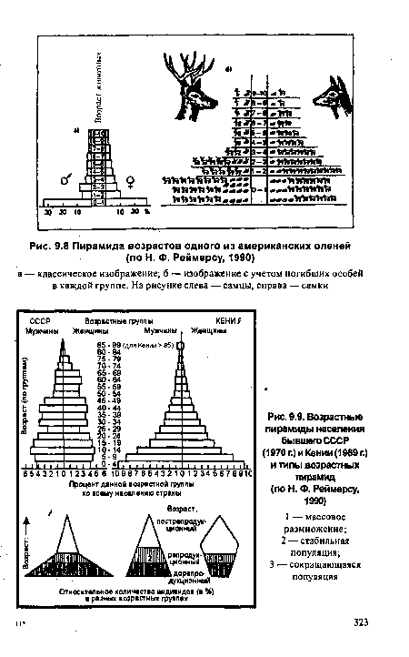 Возрастные пирамиды населения бывшего СССР (1970 г.) и Кении (1969 г.) и типы возрастных пирамид (по Н. Ф. Реймерсу, 1990)