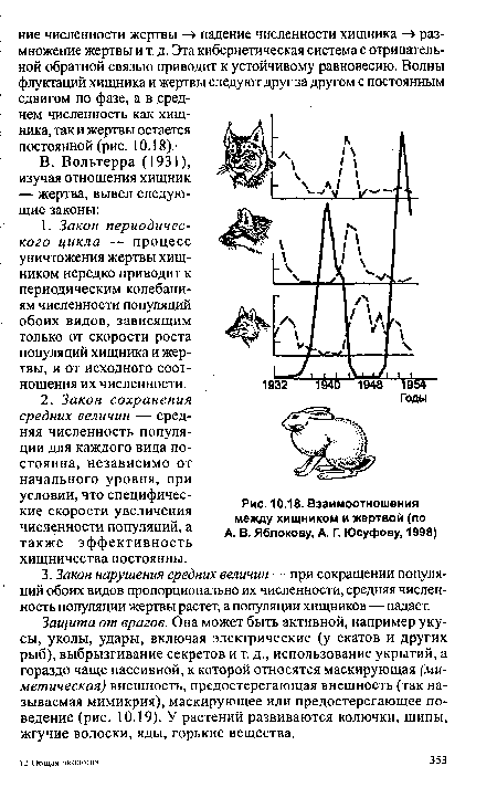Взаимоотношения между хищником и жертвой (по А. В. Яблокову, А. Г. Юсуфову, 1998)