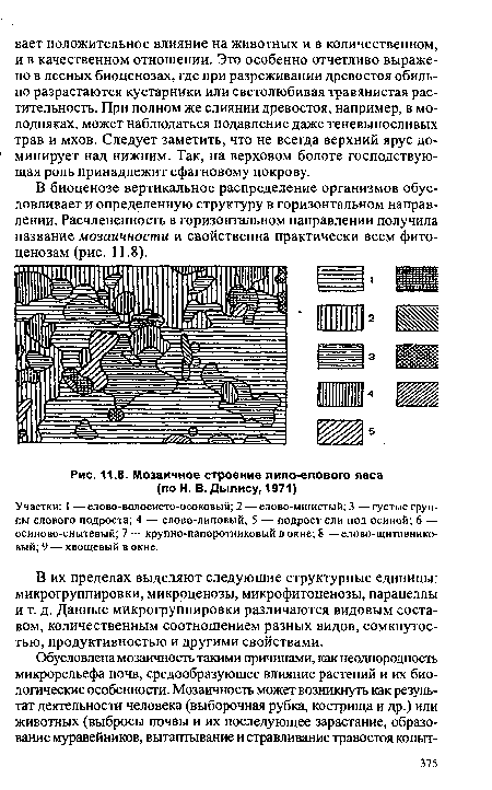 Мозаичное строение липо-елового леса (по Н. В. Дылису, 1971)