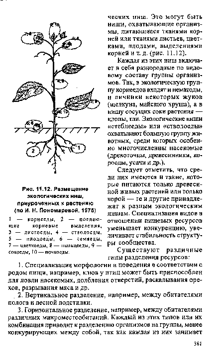 Размещение экологических ниш, приуроченных к растению (по И. Н. Пономаревой, 1975)