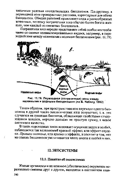Переходная (пограничная) зона между наземными и водными биоценозами (по Б. Небелу, 1993)