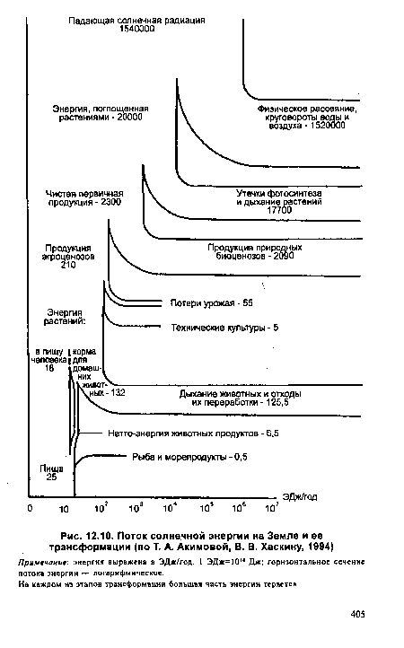 Поток солнечной энергии на Земле и ее трансформации (по Т. А. Акимовой, В. В. Хаскину, 1994)