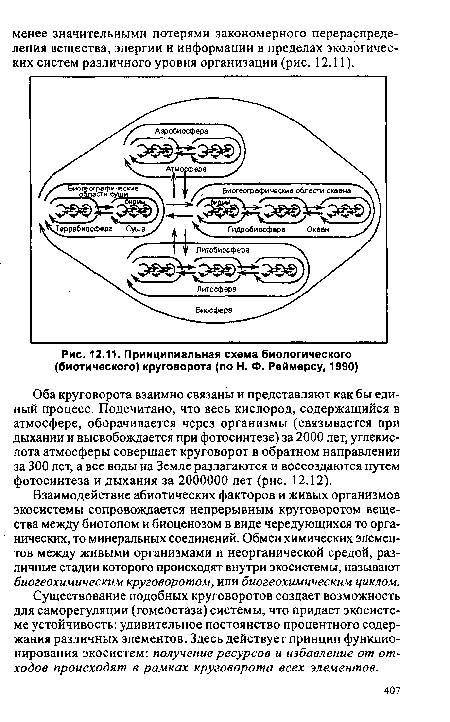 Принципиальная схема биологического (биотического) круговорота (по Н. Ф. Реймерсу, 1990)