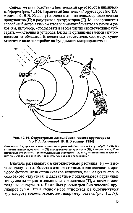 Хтруктурные циклы биотического круговорота (по Т. А. Акимовой, В. В. Хаскину, 1994)