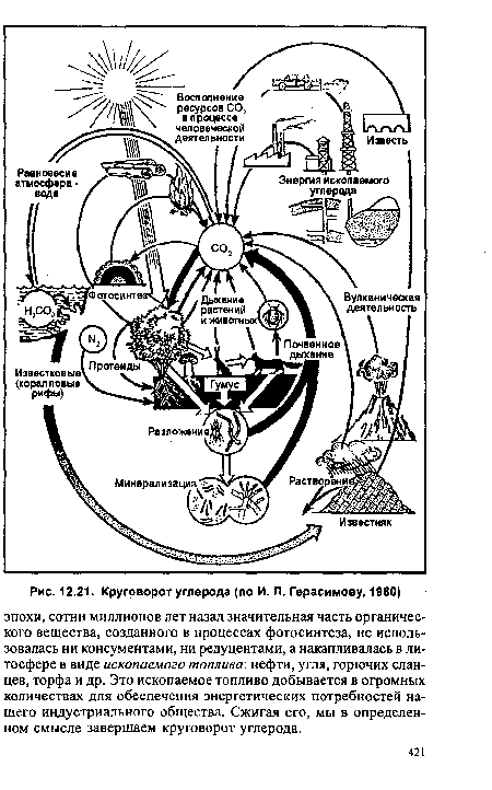Круговорот углерода (по И. П. Герасимову, 1980)