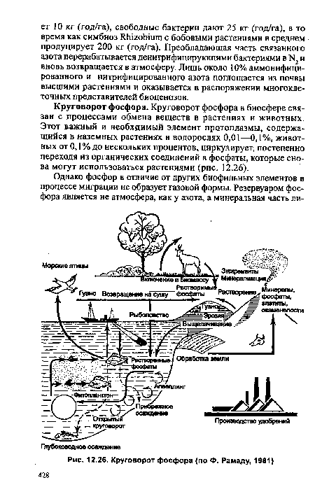 Круговорот фосфора (по Ф. Рамаду, 1981)