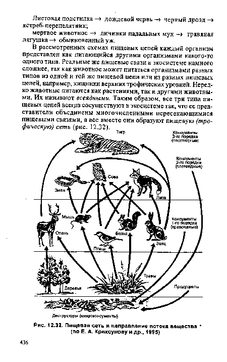 Пищевая сеть и направление потока вещества   (по Е. А. Криксунову и др., 1995)