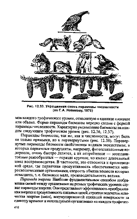 Упрощенная схема пирамиды численности (по Г. А. Новикову, 1979)