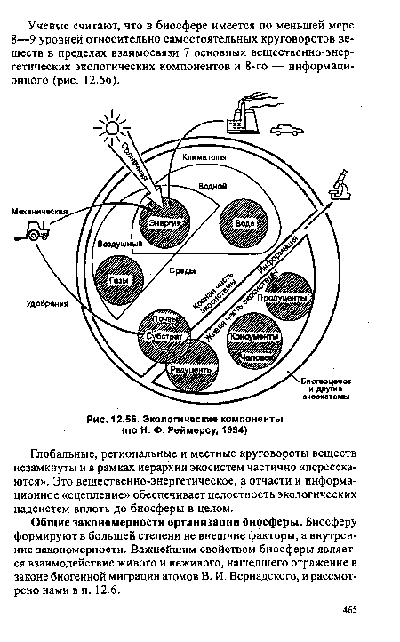 Экологические компоненты (по Н. Ф. Реймерсу, 1994)
