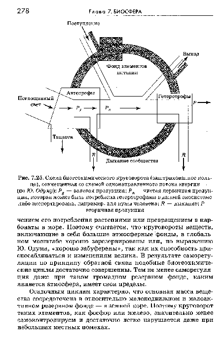 Схема биогеохимического круговорота (заштрихованное кольцо), совмещенная со схемой однонаправленного потока энергии (по Ю. Одуму)