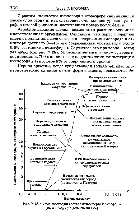 Схема эволюции состава атмосферы и биосферы (по Ю. Одуму с дополнениями)