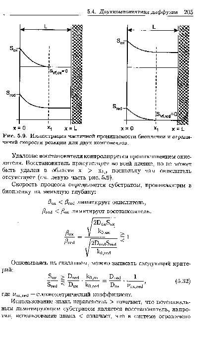 Иллюстрация частичной проницаемости биопленки и ограничений скорости реакции для двух компонентов.
