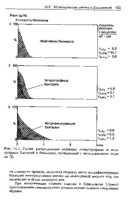 Расчет распределения активных гетеротрофных и авто-трофных бактерий в биопленке, проведенный с использованием модели [4].