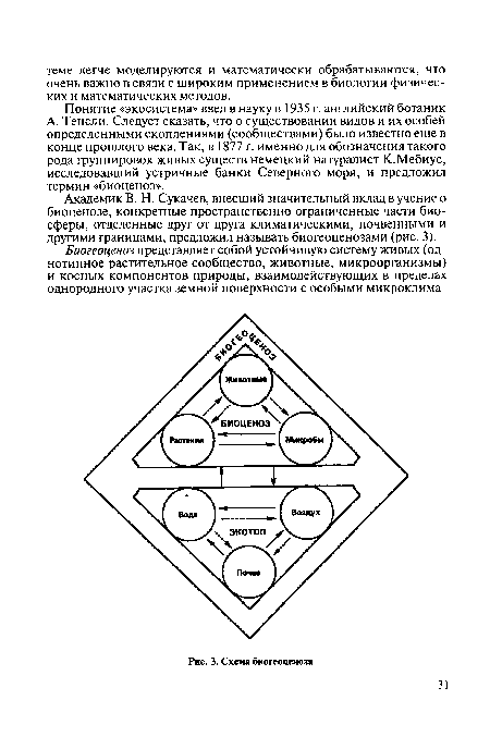 Схема биогеоценоза