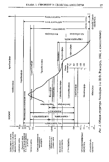 Общая структура биосферы (по Н.Ф. Реймерсу, 1990, с изменениями)
