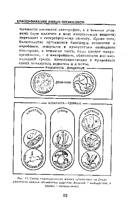 Схема классификации живых организмов на Земле (толстой линией обозначены царства, двойной - надцарства, в кругах - подцарства ).