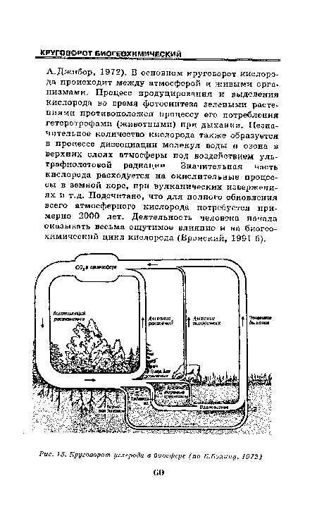 Круговорот углерода в биосфере (по Б.Болину, 1972)