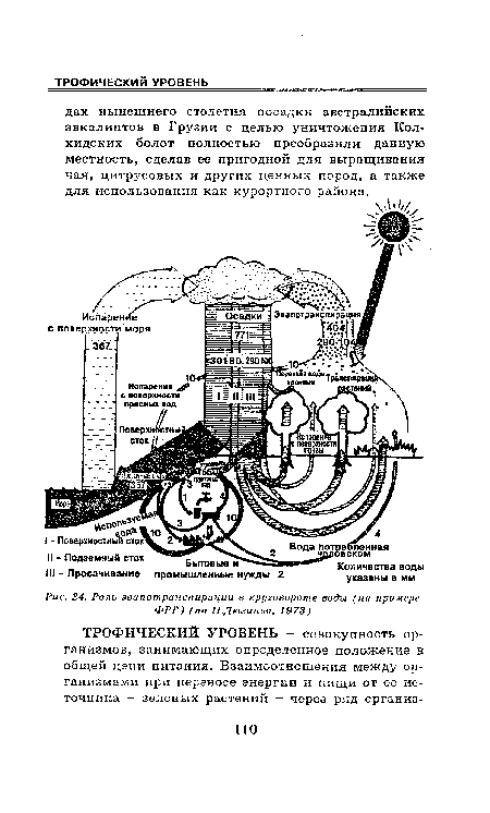 Роль эвапотранспирации в круговороте воды (на примере ФРГ) (по ПтЦюеинъо, 1973)