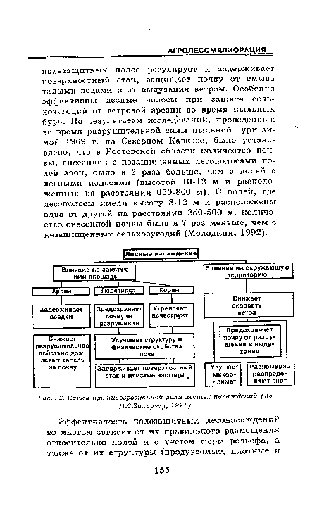 Схема противоэрозиоппой роли лесных насаждений (по П.С.Захарову, 1971)