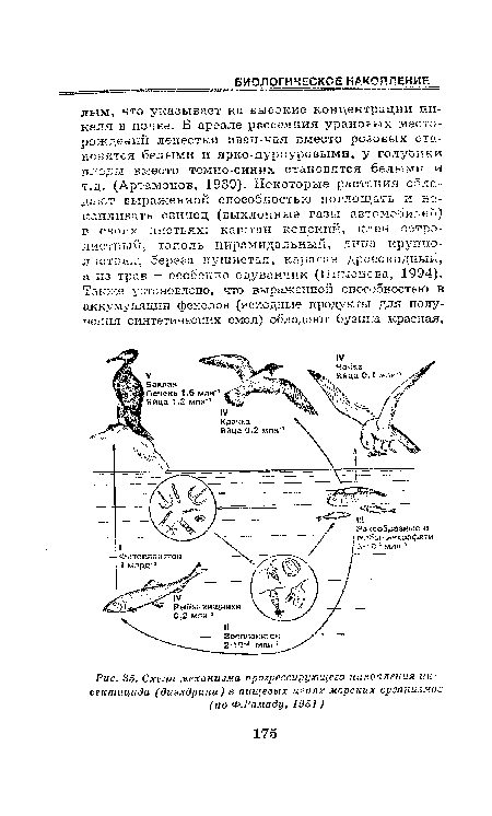 Схема механизма прогрессирующего накопления инсектицида (диэлдрина) в пищевых цепях морских организмов (по Ф.Рамаду, 1981)