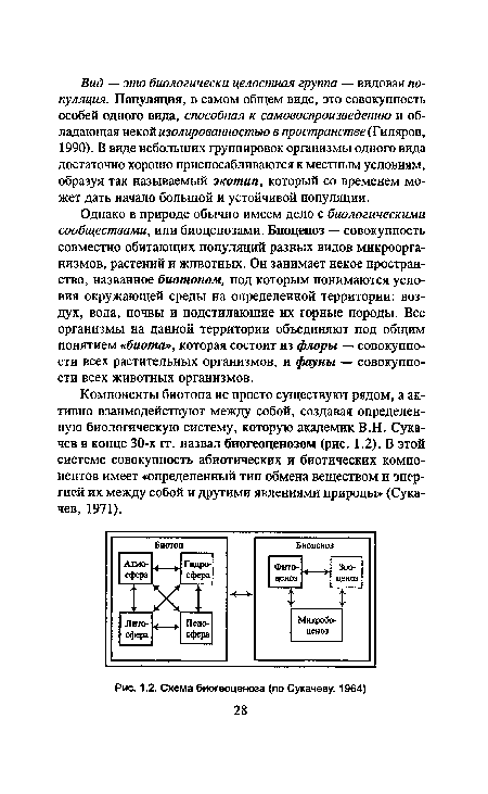 Схема биогеоценоза (по Сукачеву, 1964) 28
