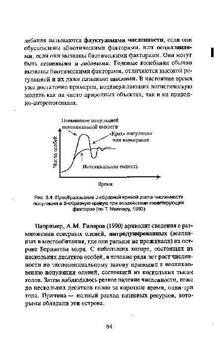 Преобразование J-образной кривой роста численности популяции в S-образную кривую при воздействии лимитирующих факторов (по Т. Миллеру, 1993)