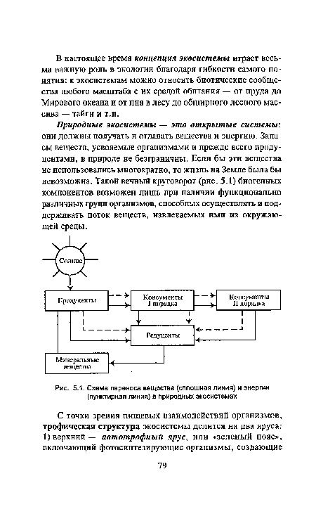 Схема переноса вещества (сплошная линия) и энергии (пунктирная линия) в природных экосистемах