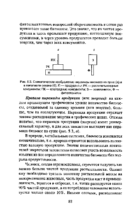 Схематическое изображение пирамиды миомасс на суше (а) и в пелагиале океана (б)