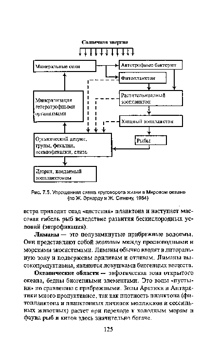Упрощенная схема круговорота жизни в Мировом океане (по Ж. Эрхарду и Ж. Сежену, 1984)