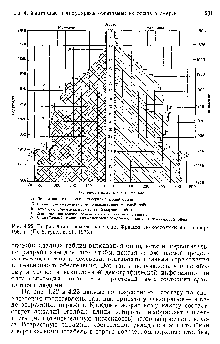 Возрастная пирамида населения Франции по состоянию на 1 января 1967 г. (По БЬгуоск а!., 1976.)